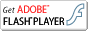Закачать Flash Player